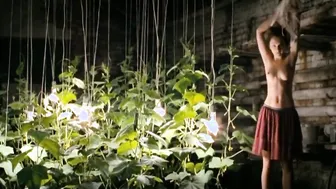 Elena Netesina , Nadezhda Tolubeeva, etc - Peremirie (2010)