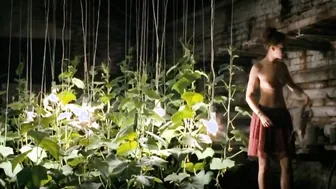 Elena Netesina , Nadezhda Tolubeeva, etc - Peremirie (2010)