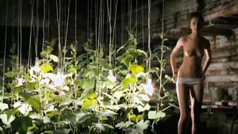 Elena Netesina , Nadezhda Tolubeeva, etc - Peremirie (2010)