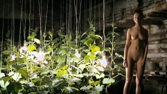 Elena Netesina , Nadezhda Tolubeeva, etc - Peremirie (2010)