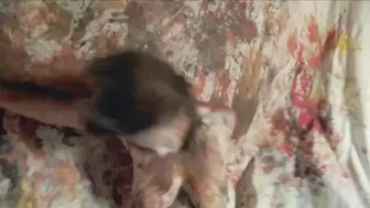 Melania Dalla Costa - I Sogni Sospesi (2018)