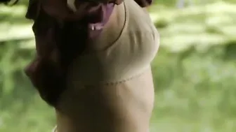 Blanca Lewin - Bombal (2011)