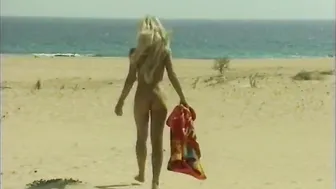 Mermaid: A Flippant Tale (1992)