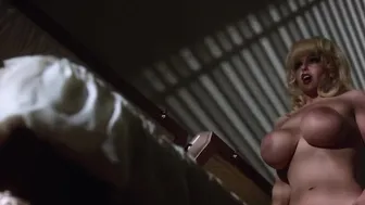 Beneath the Valley of the Ultra-Vixens (1979)