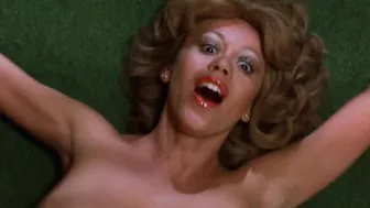 Beneath the Valley of the Ultra-Vixens (1979)