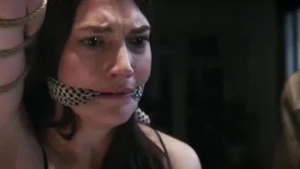 Megan Maczko – Deadly Virtues Love Honour Obey (2014)