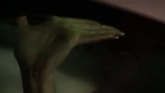 Monica Raymund, Riley Voelkel, etc - Hightown s01e03 (2020)