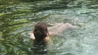 Marie Gillain – Le bossu (1997)