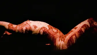 Shelly Levy - Den blå orkidé (2020)