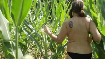 Rebecca Rinehart - Sharks of the Corn (2021)